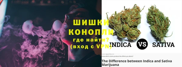 прущий лед Богданович