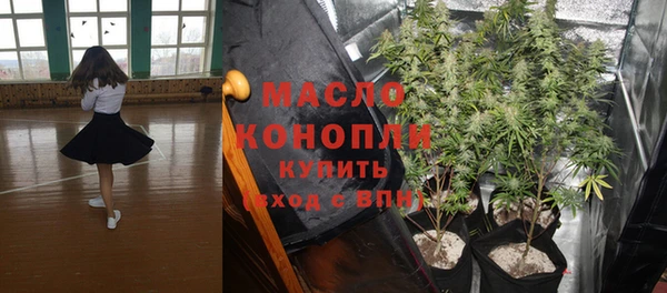 прущий лед Богданович