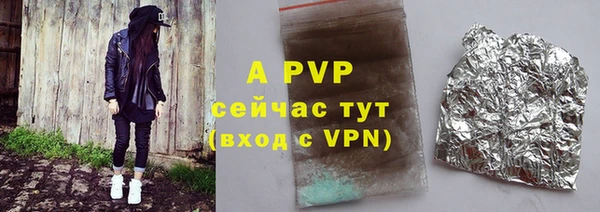 прущий лед Богданович