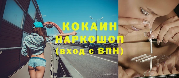 прущий лед Богданович