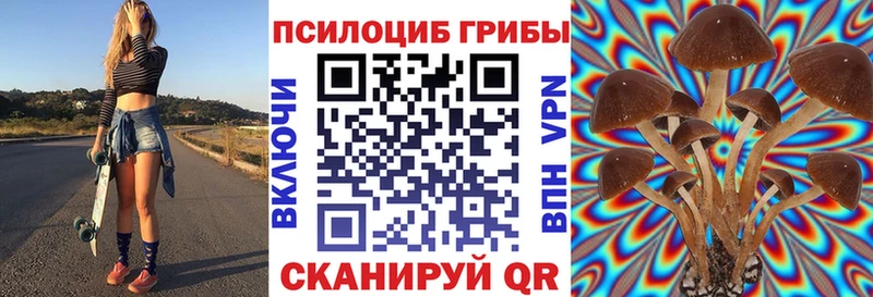 Псилоцибиновые грибы Cubensis Купить закладки Алупка
